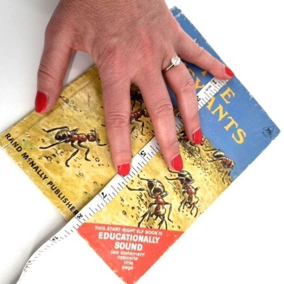 Vintage Rand McNally Publisher The Busy Ants Nonfiction Children’s Learning Book - Picture 12 of 12